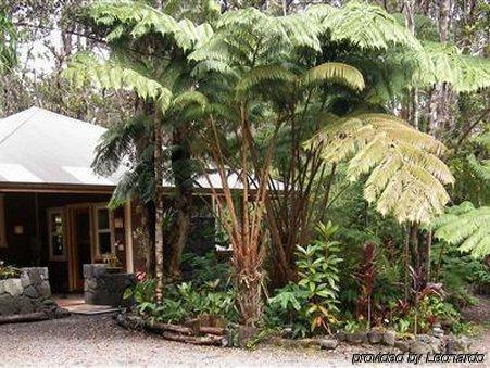 Volcano Mist Cottage 外观 照片