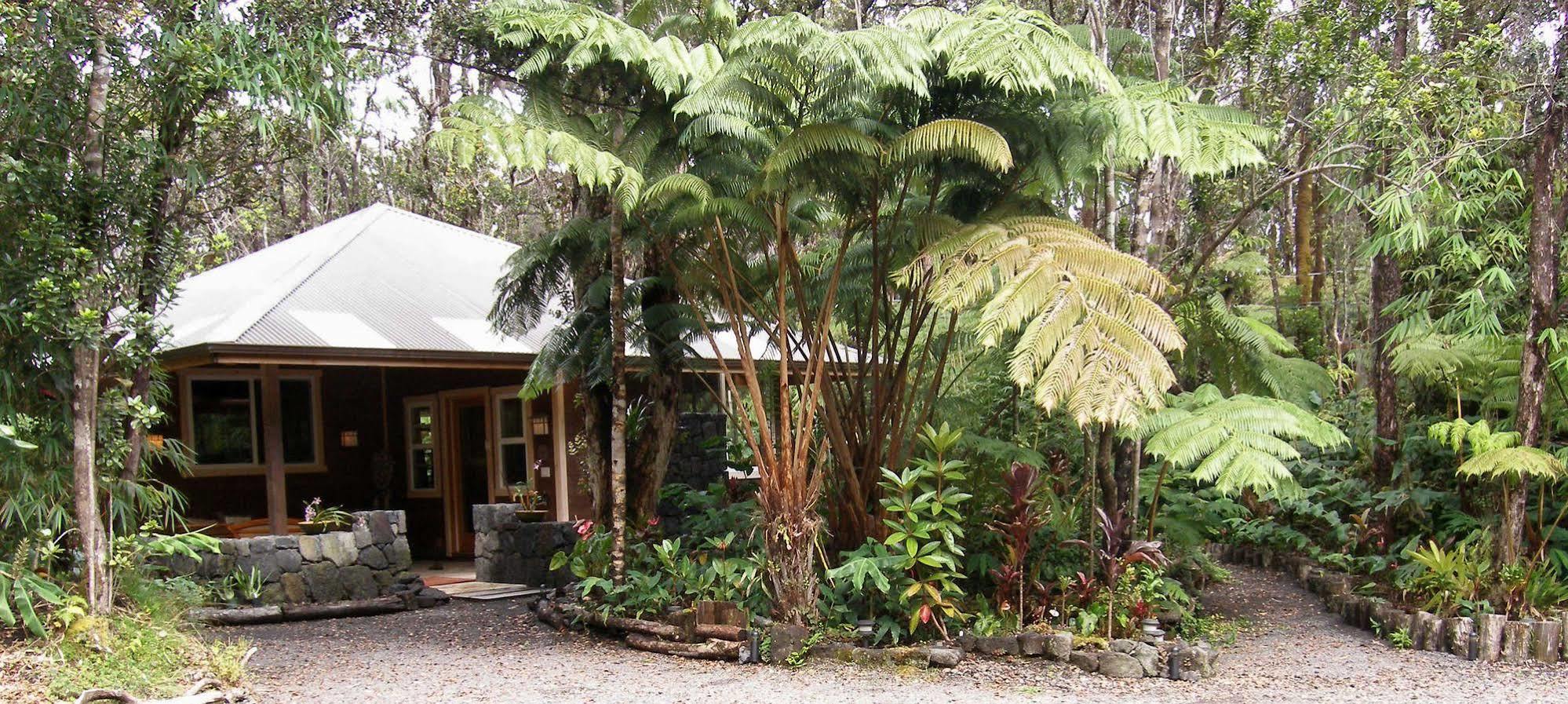 Volcano Mist Cottage 外观 照片