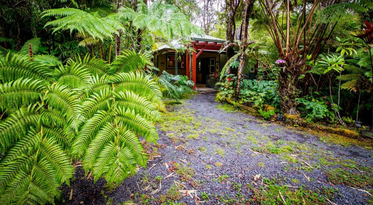 Volcano Mist Cottage 外观 照片
